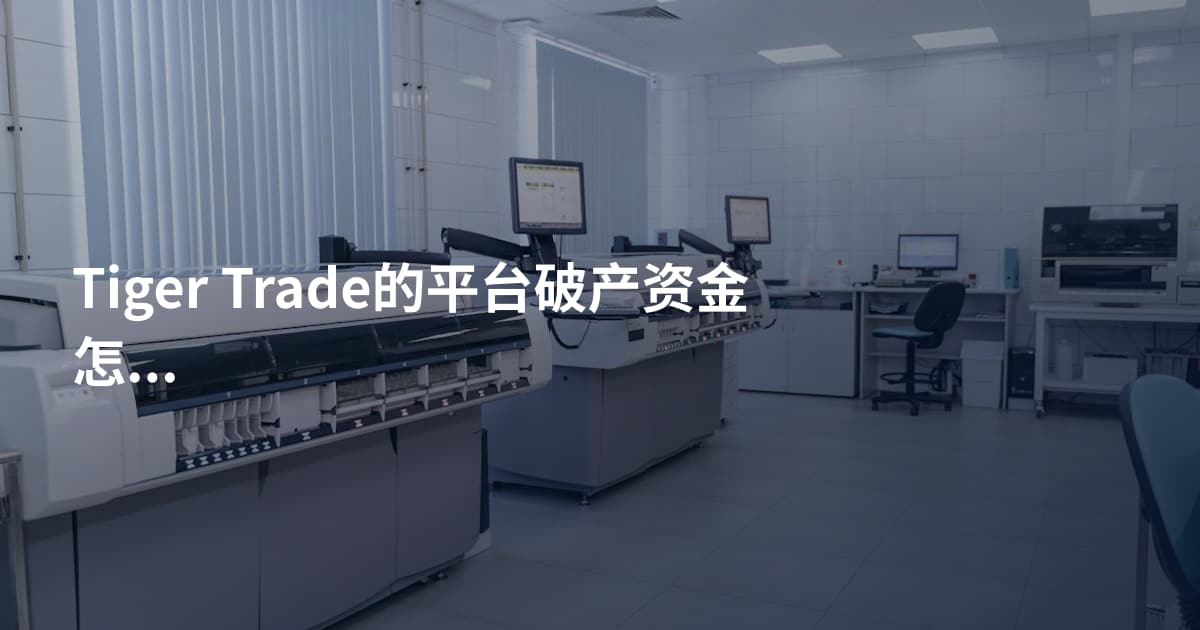 Tiger Trade的平台破产资金怎么办