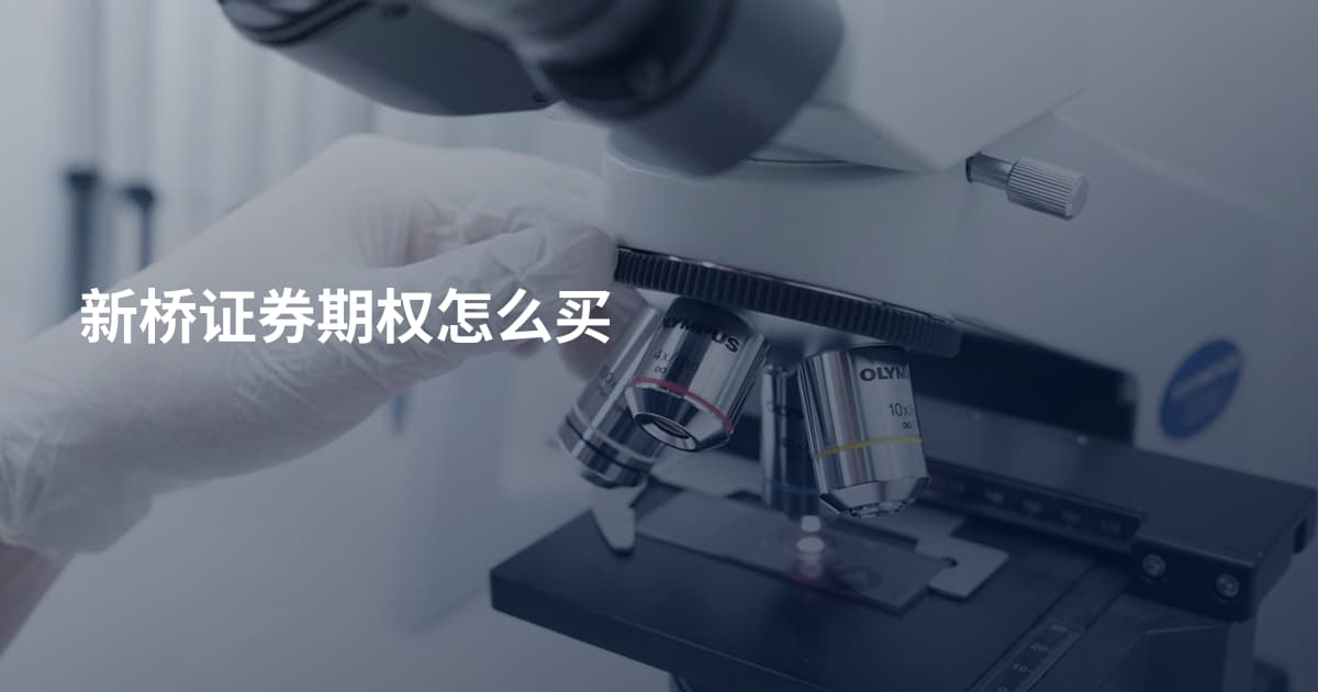 新桥证券期权怎么买