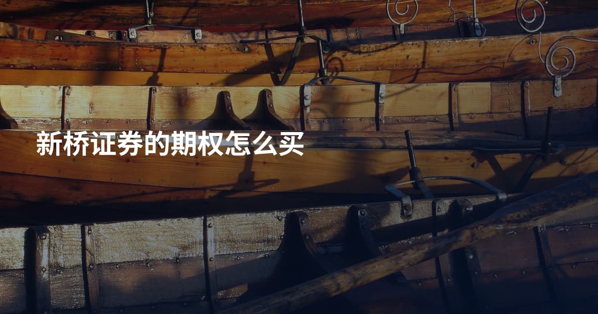 新桥证券的期权怎么买