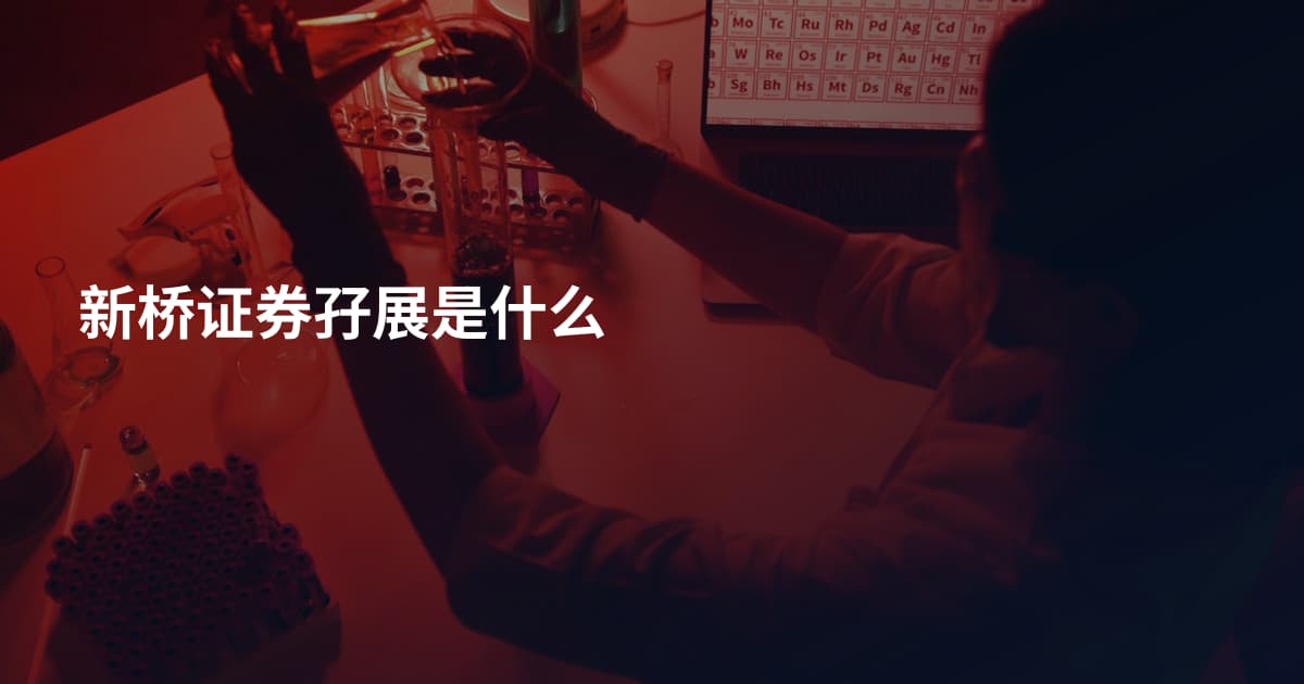 新桥证券孖展是什么
