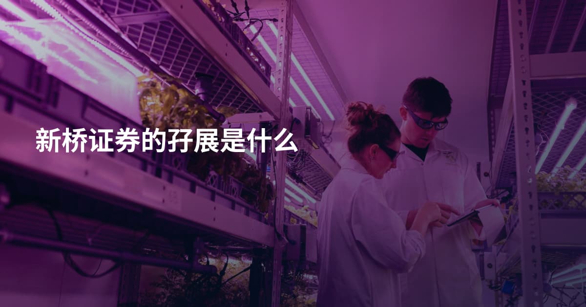 新桥证券的孖展是什么