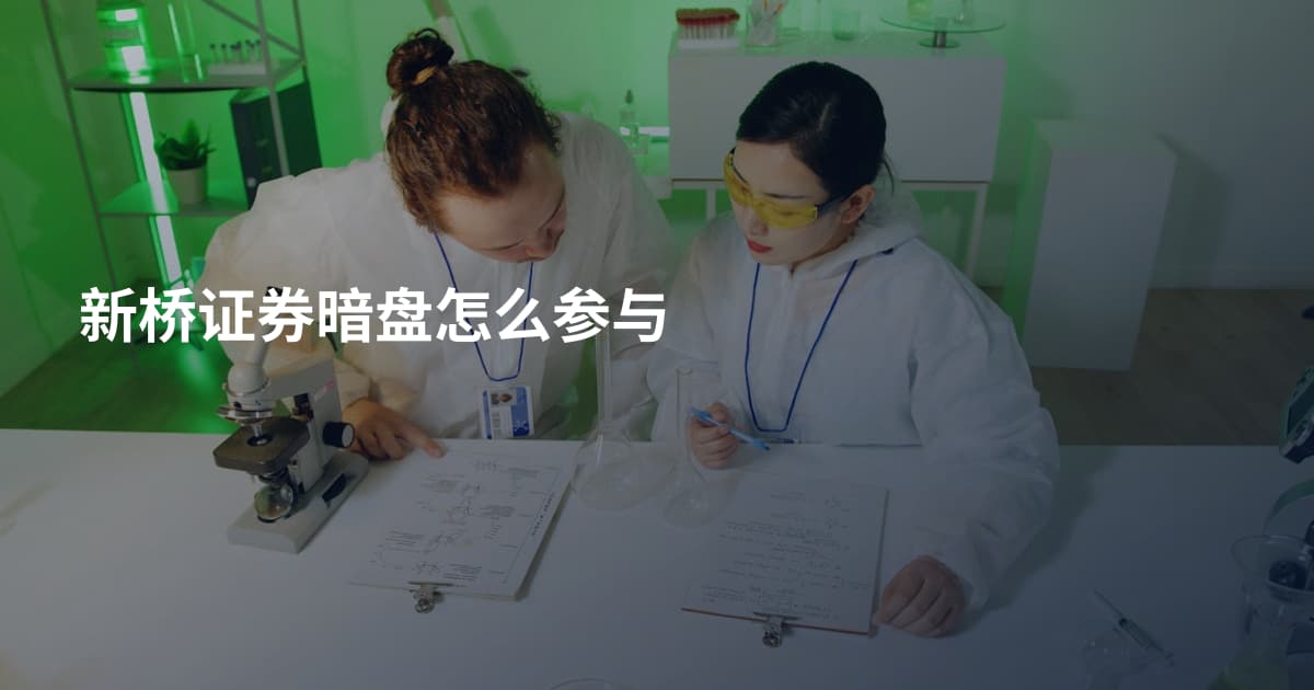 新桥证券暗盘怎么参与