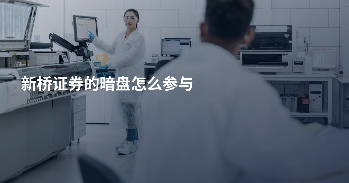 新桥证券的暗盘怎么参与