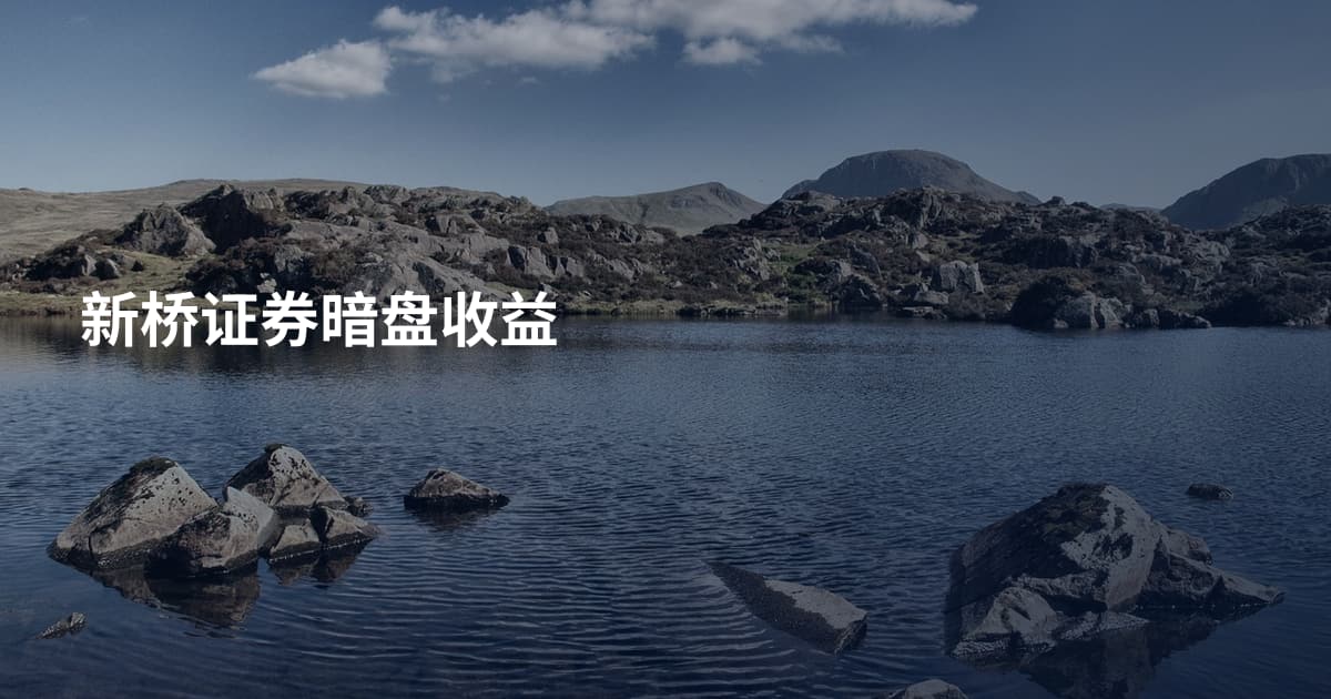 新桥证券暗盘收益