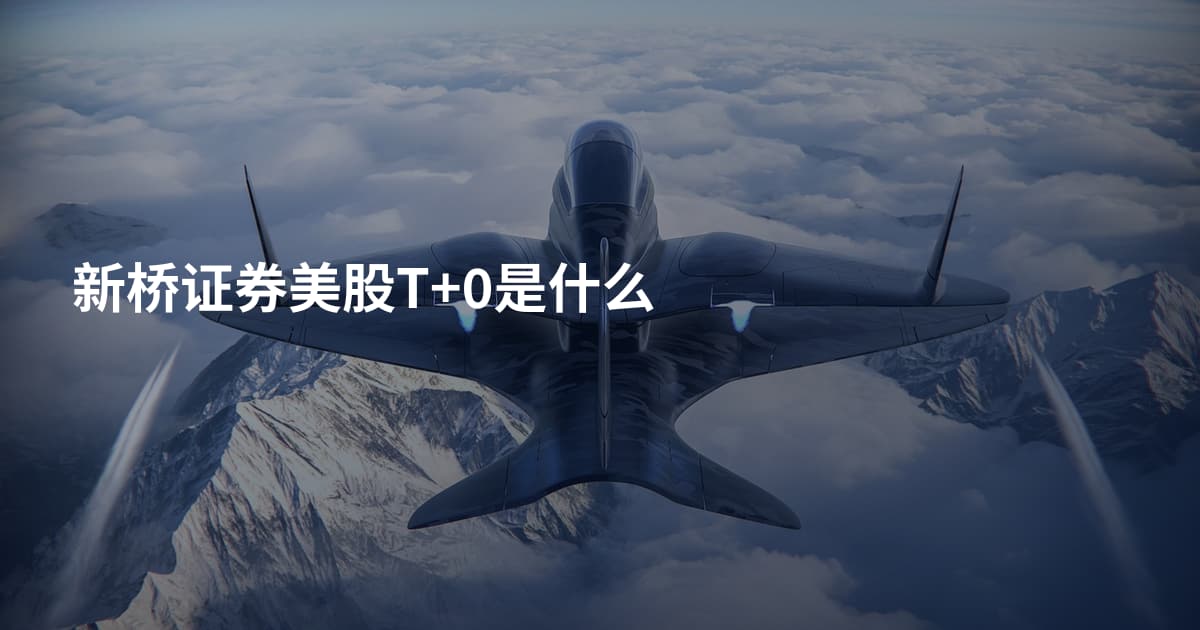 新桥证券美股T+0是什么