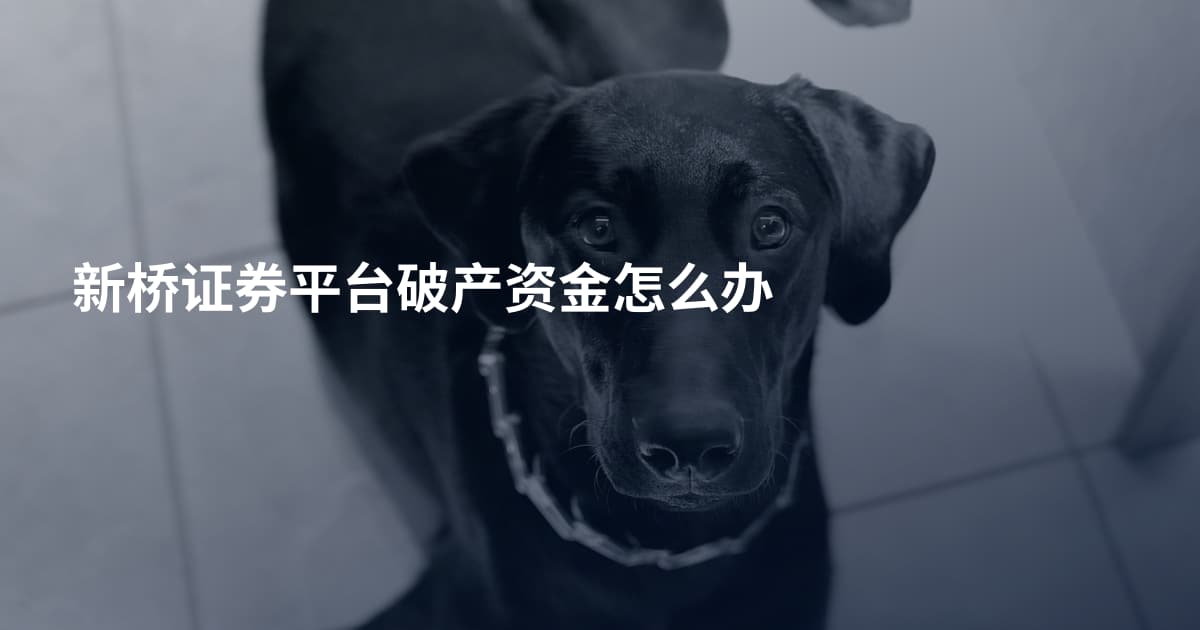 新桥证券平台破产资金怎么办
