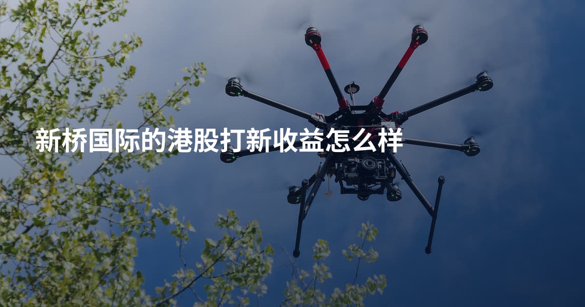 新桥国际的港股打新收益怎么样