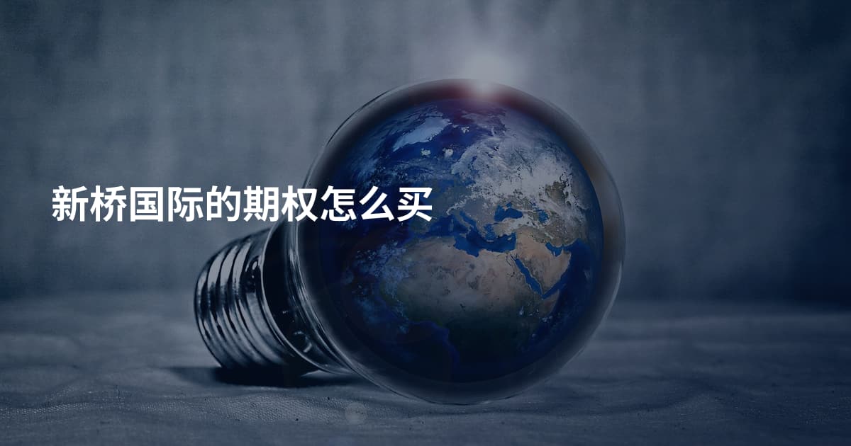 新桥国际的期权怎么买