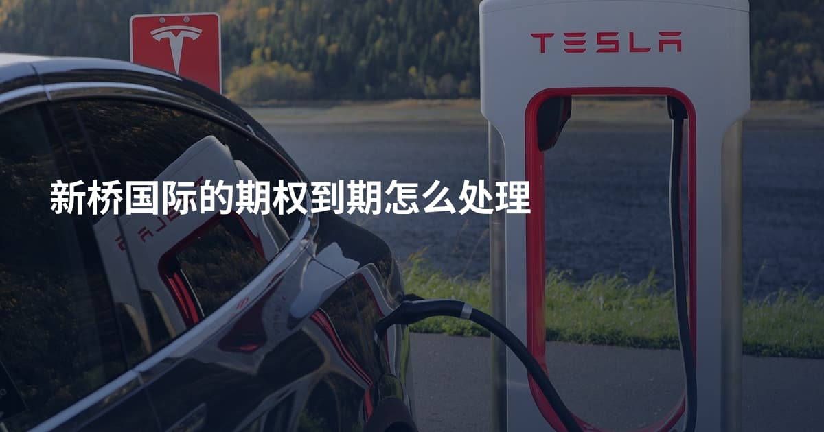 新桥国际的期权到期怎么处理