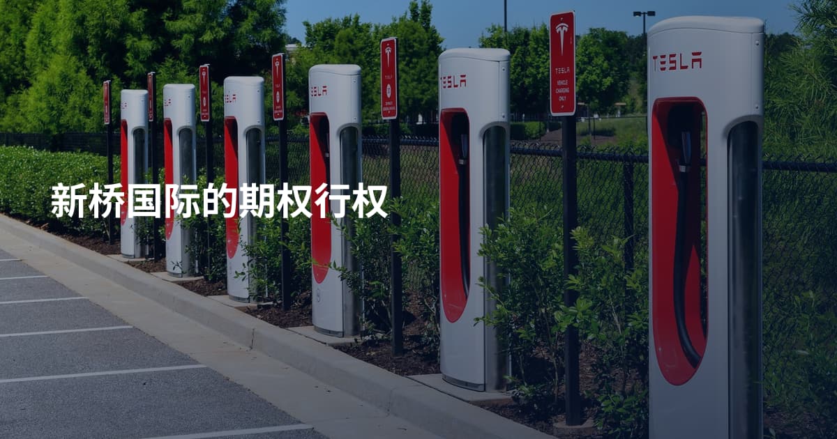 新桥国际的期权行权