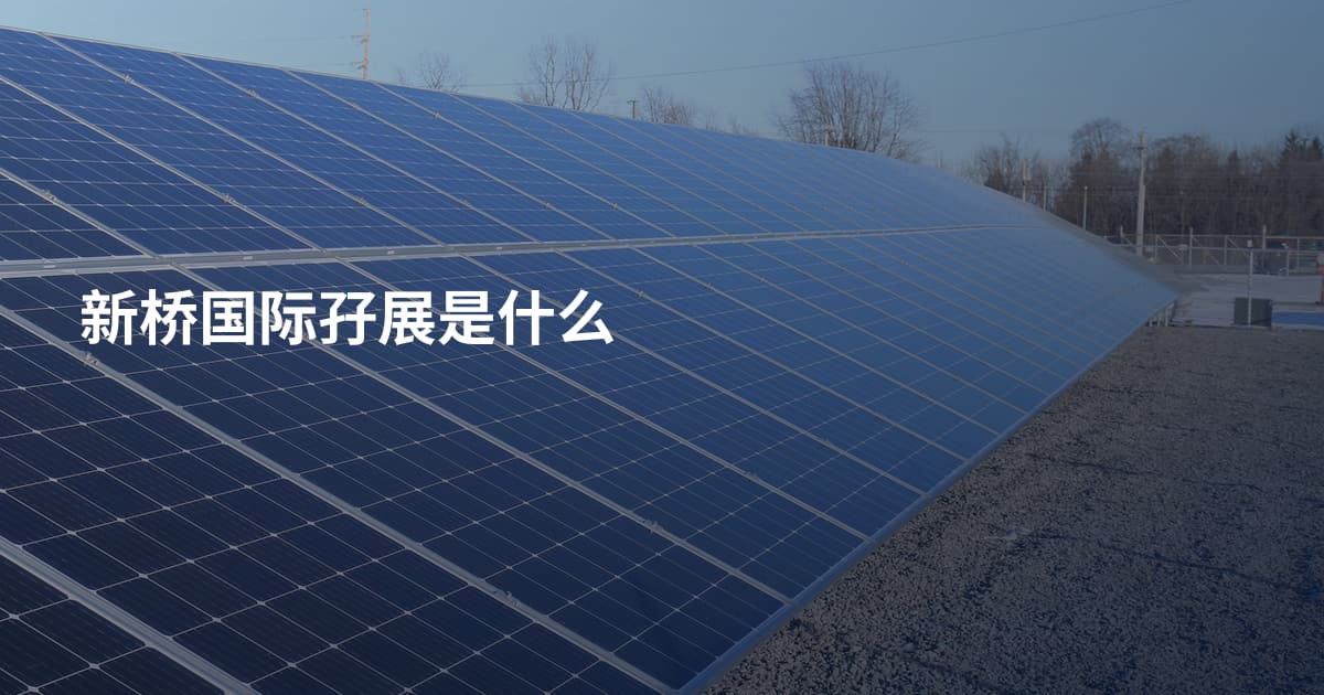 新桥国际孖展是什么