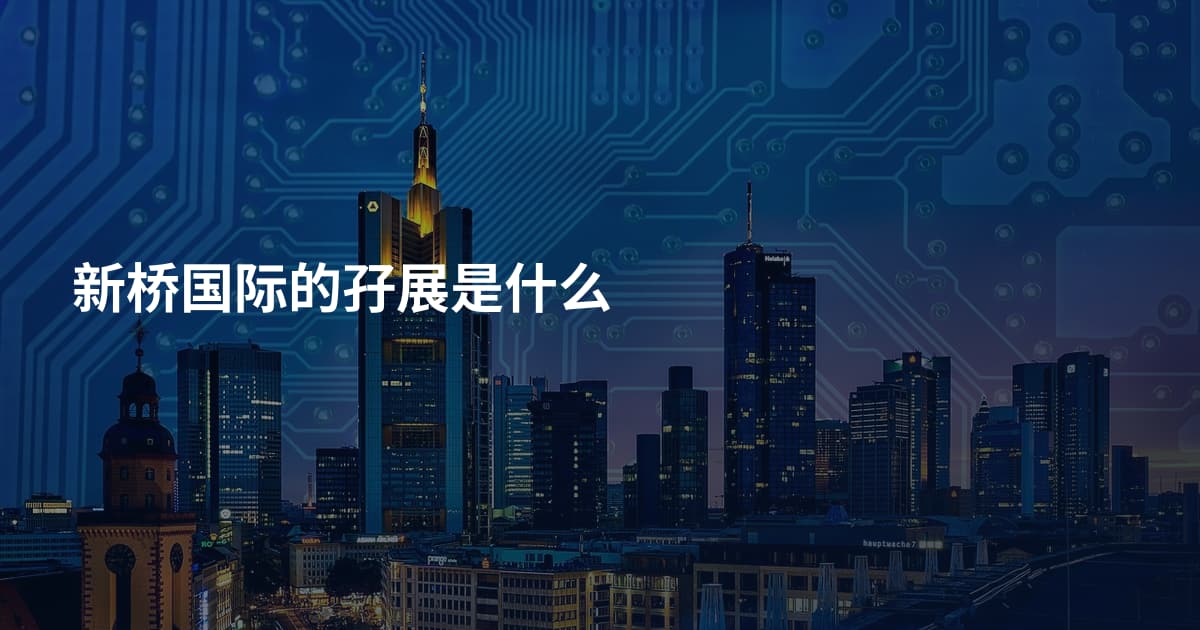 新桥国际的孖展是什么