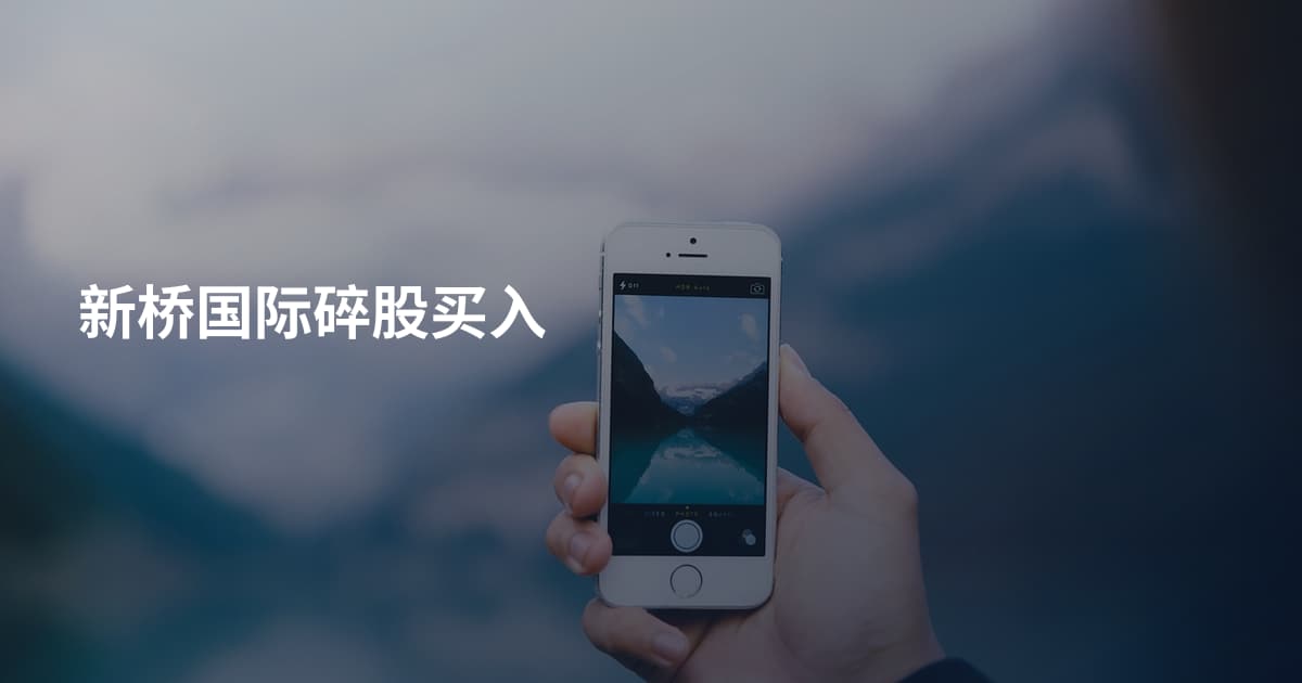 新桥国际碎股买入
