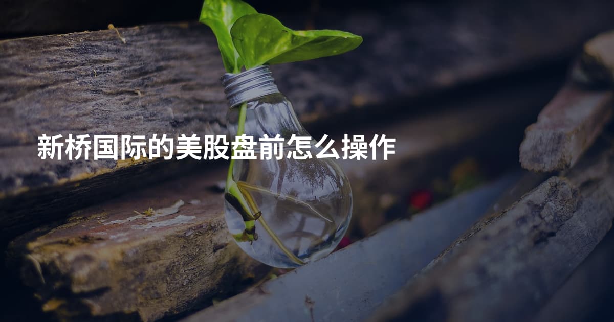 新桥国际的美股盘前怎么操作