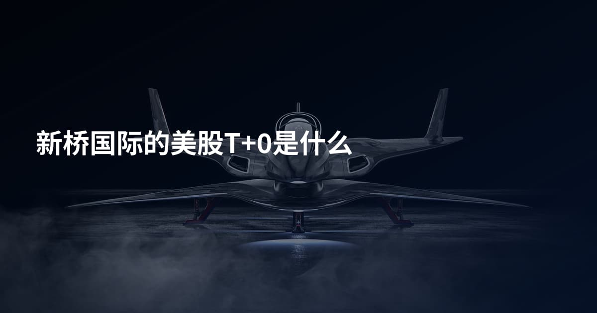 新桥国际的美股T+0是什么