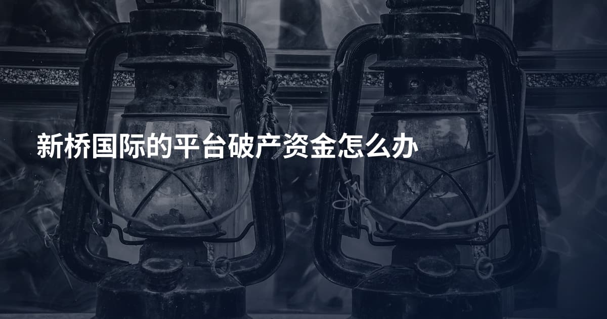 新桥国际的平台破产资金怎么办