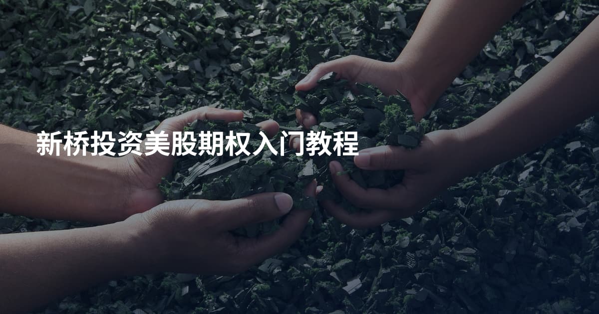 新桥投资美股期权入门教程