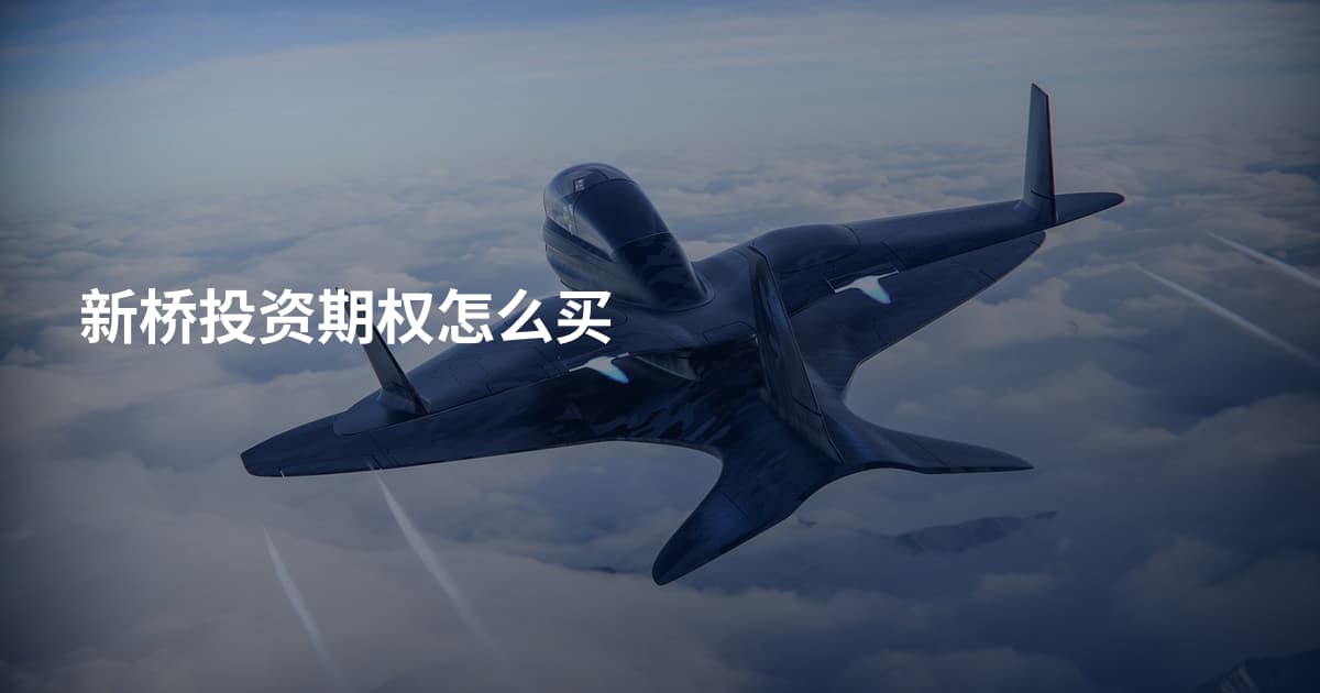 新桥投资期权怎么买