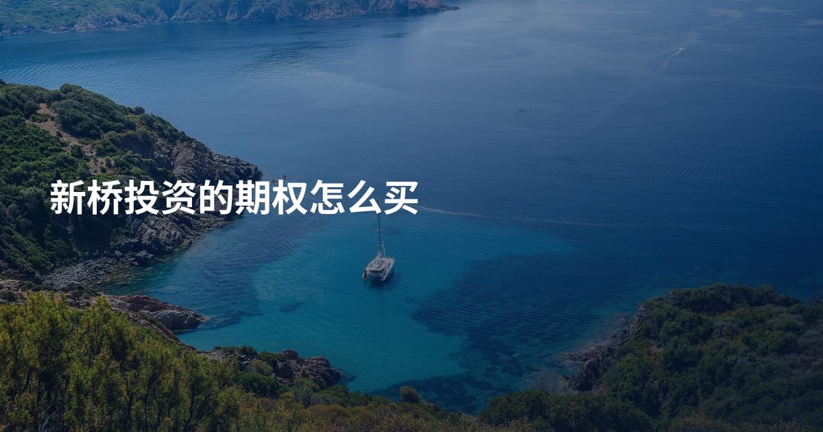 新桥投资的期权怎么买