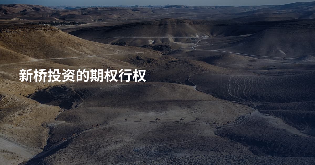 新桥投资的期权行权
