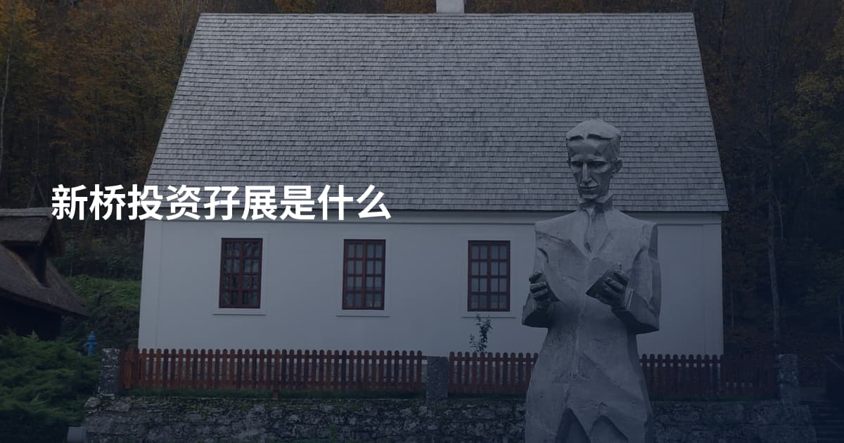 新桥投资孖展是什么