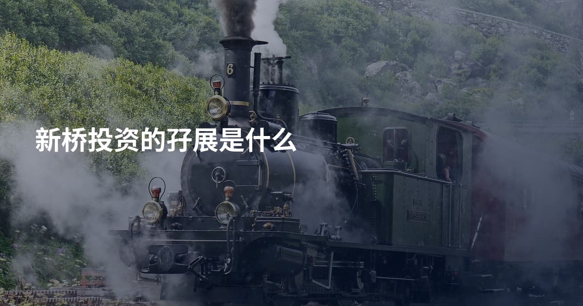 新桥投资的孖展是什么
