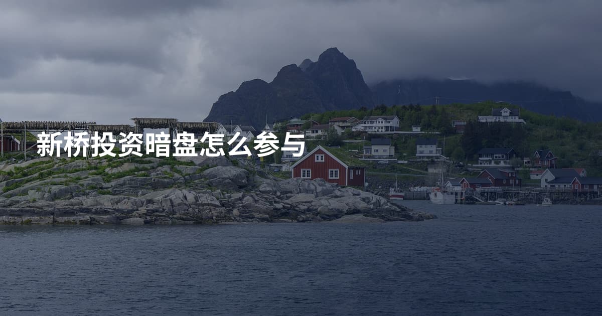 新桥投资暗盘怎么参与