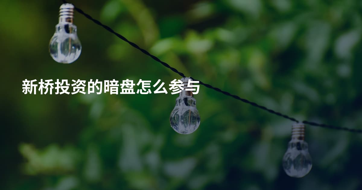 新桥投资的暗盘怎么参与
