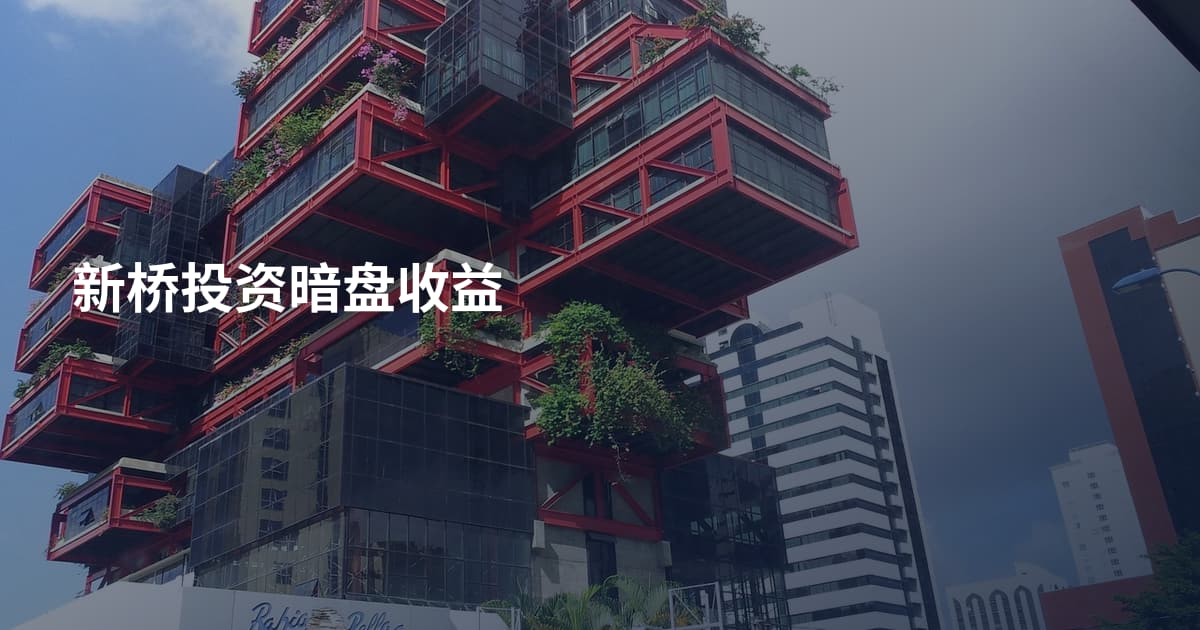 新桥投资暗盘收益