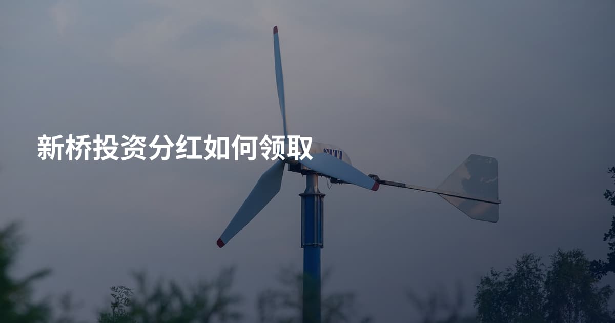 新桥投资分红如何领取