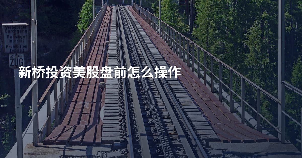 新桥投资美股盘前怎么操作