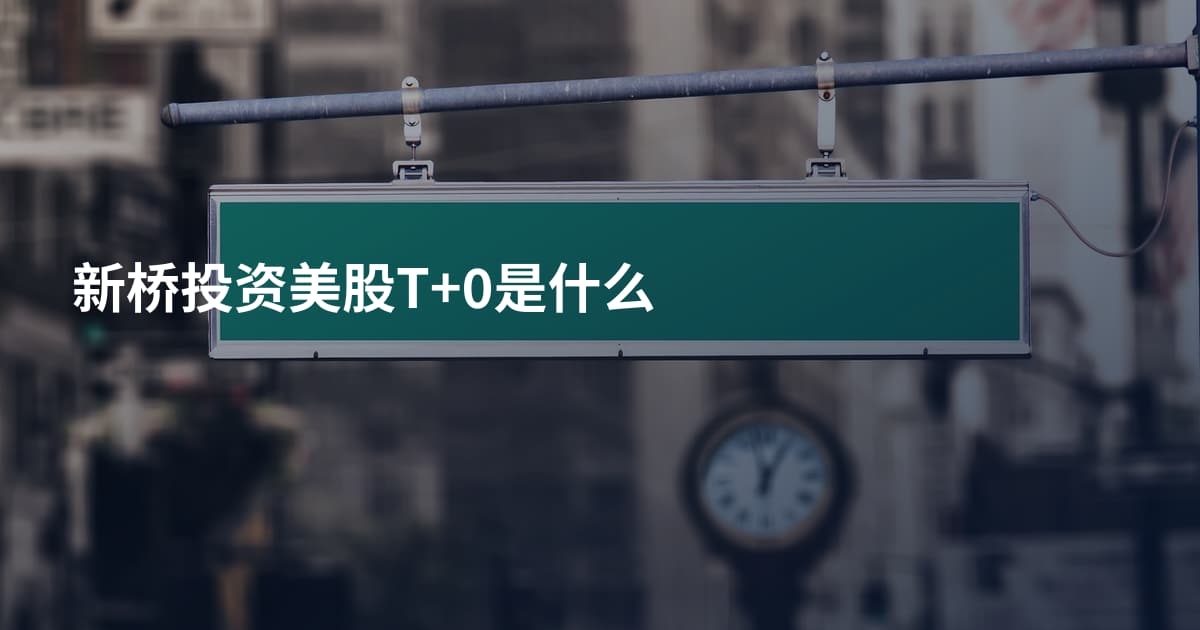 新桥投资美股T+0是什么