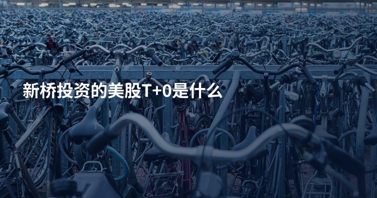 新桥投资的美股T+0是什么