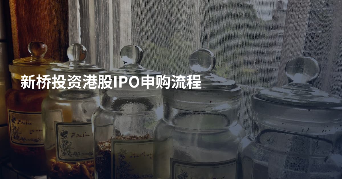 新桥投资港股IPO申购流程