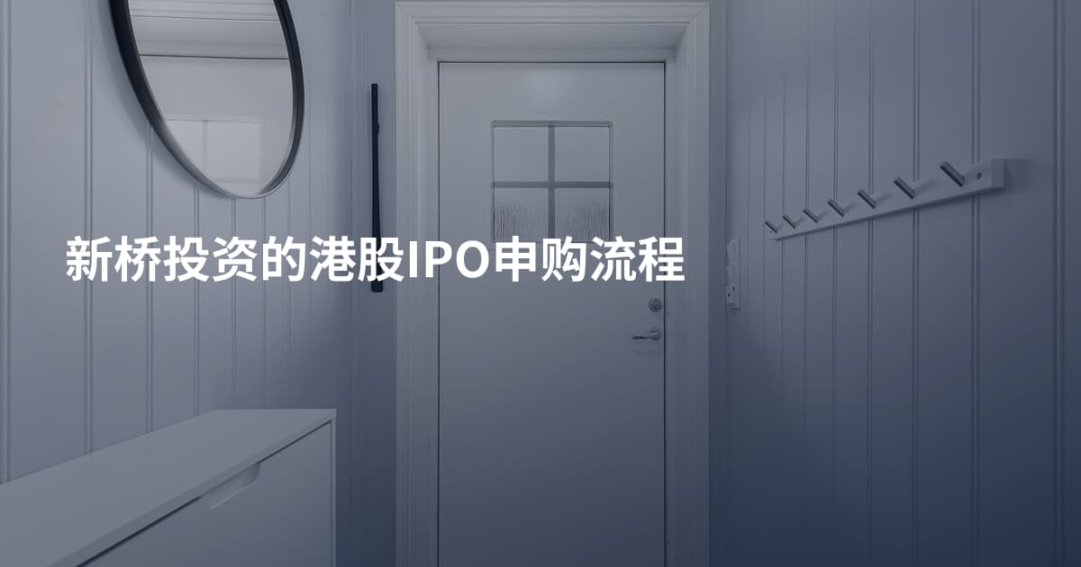 新桥投资的港股IPO申购流程