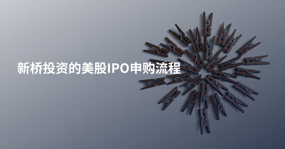 新桥投资的美股IPO申购流程