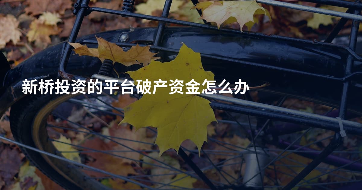 新桥投资的平台破产资金怎么办