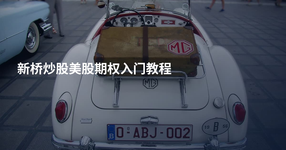 新桥炒股美股期权入门教程