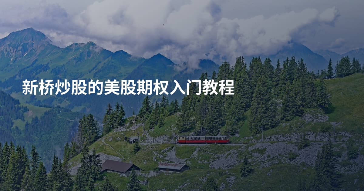 新桥炒股的美股期权入门教程