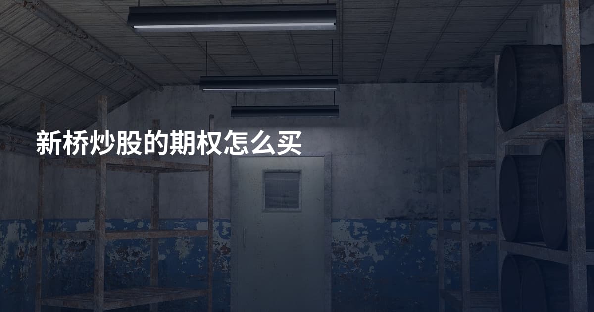 新桥炒股的期权怎么买