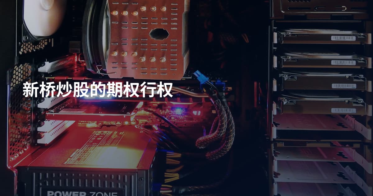新桥炒股的期权行权