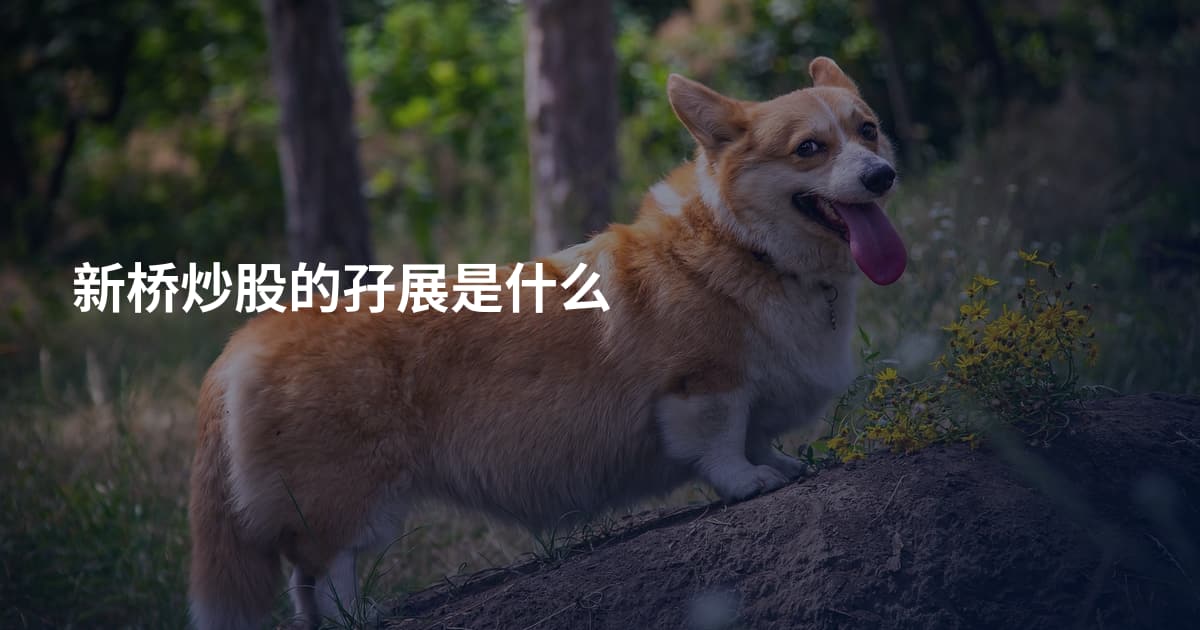 新桥炒股的孖展是什么