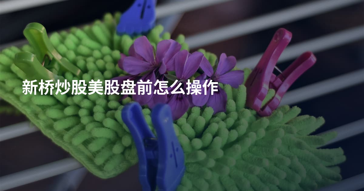 新桥炒股美股盘前怎么操作