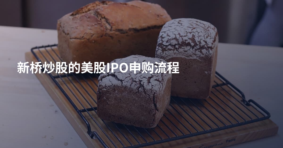 新桥炒股的美股IPO申购流程