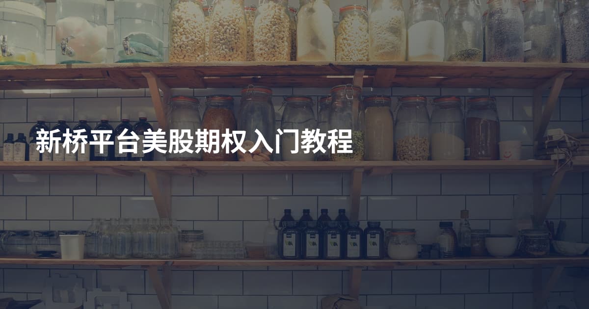 新桥平台美股期权入门教程