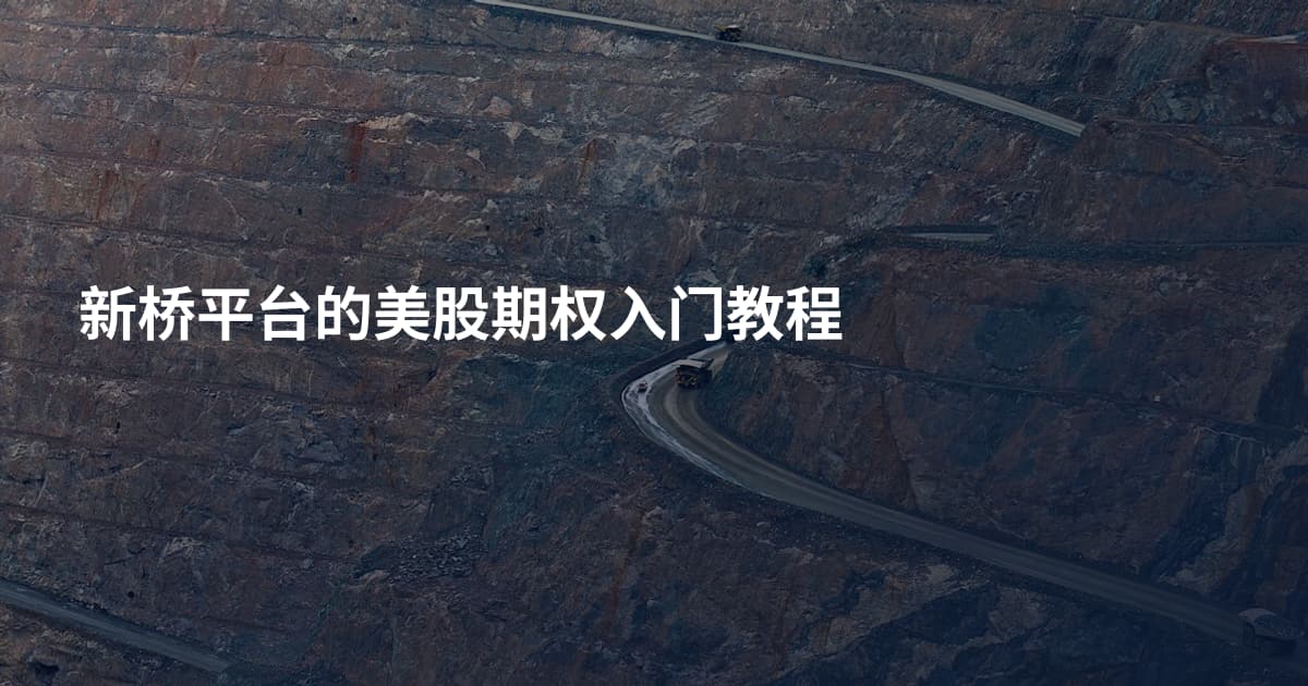 新桥平台的美股期权入门教程