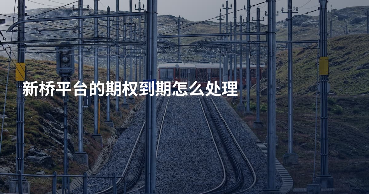 新桥平台的期权到期怎么处理