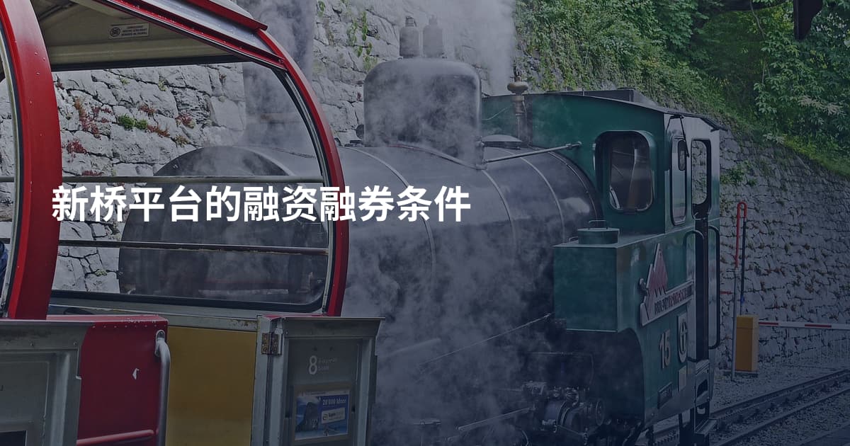 新桥平台的融资融券条件