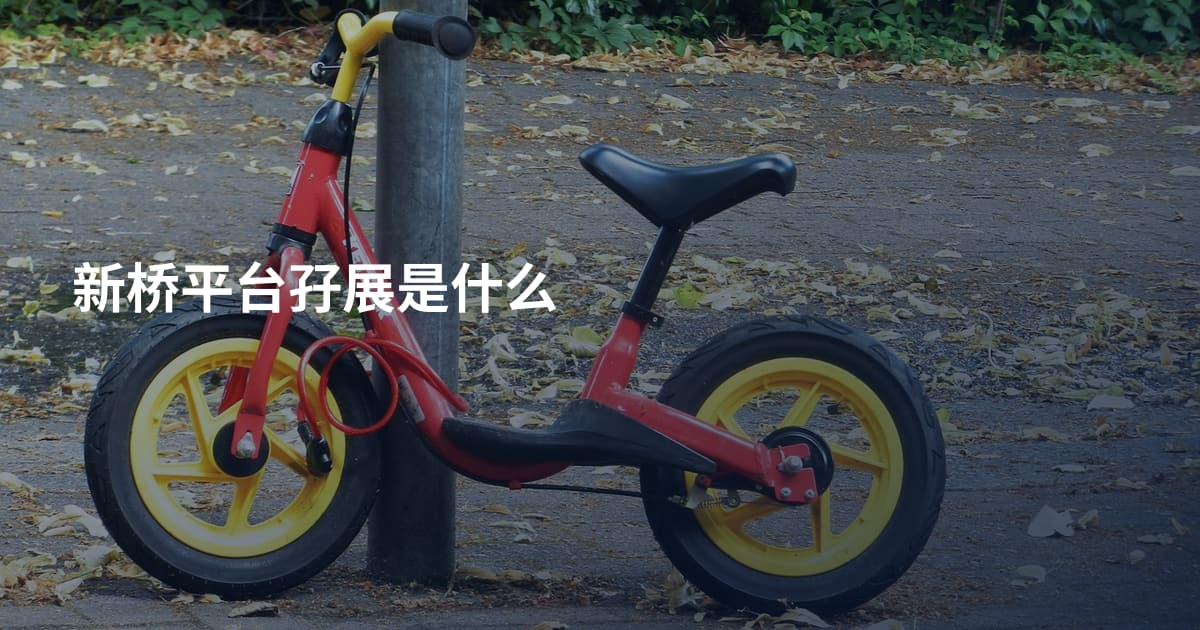 新桥平台孖展是什么