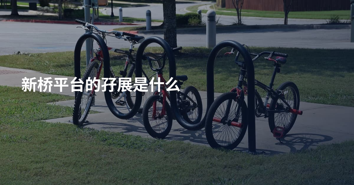新桥平台的孖展是什么